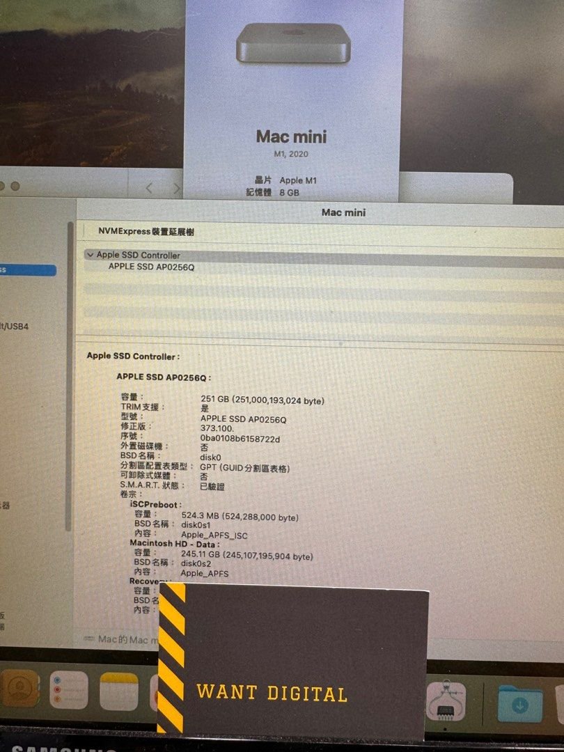 99 new mac mini m18256 1713021725 daf907cf progressive